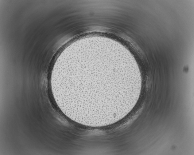 X0000116611113201001081205