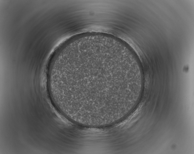 X0000116611115201001081205