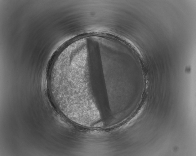 X0000116611117201001081205