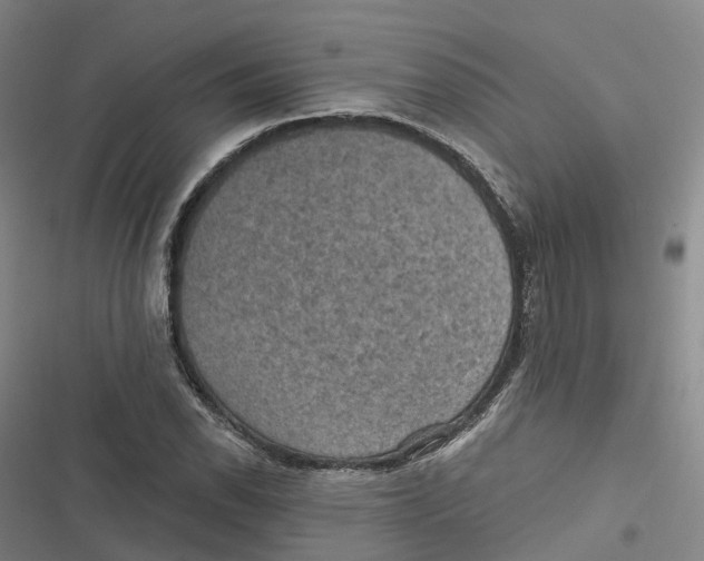 X0000116611118201001081205