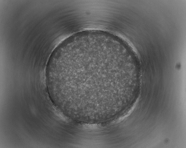 X0000116611121201001081205