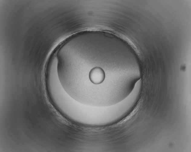 X0000116611122201001081205