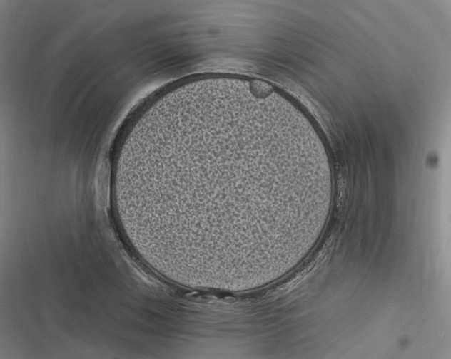 X0000116611123201001081205