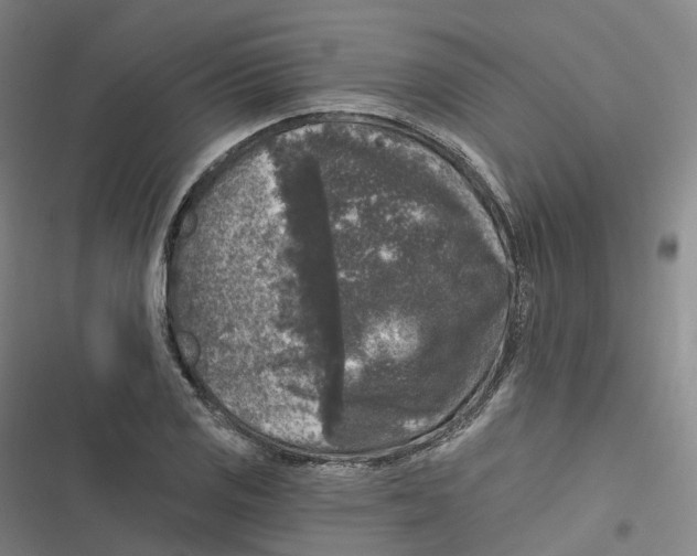 X0000116611125201001081205