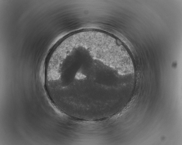 X0000116611127201001081205