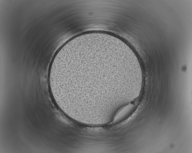 X0000116611129201001081205