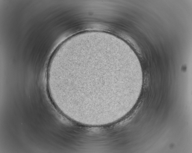 X0000116611130201001081205