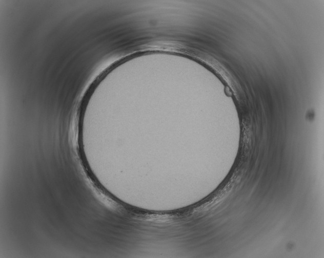 X0000116611131201001081205