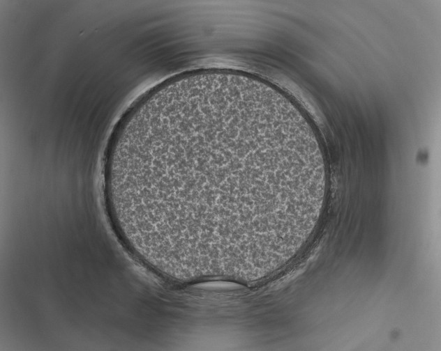 X0000116611133201001081205