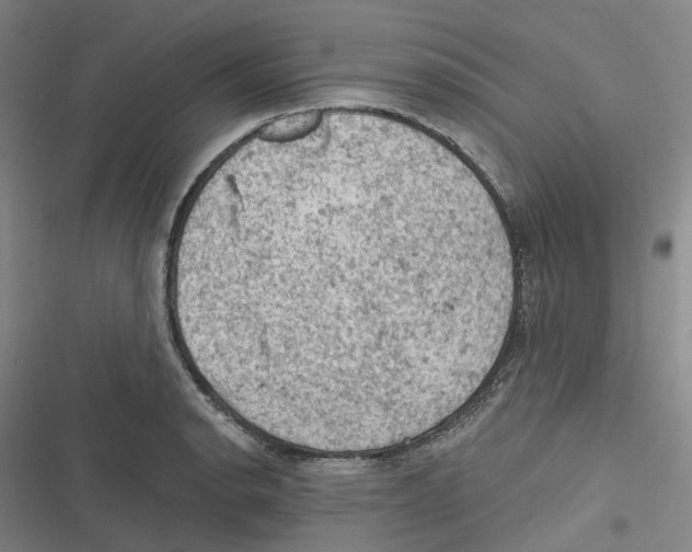 X0000116611134201001081205