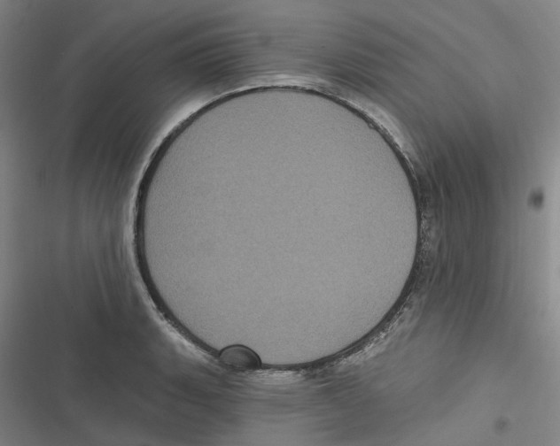 X0000116611135201001081205