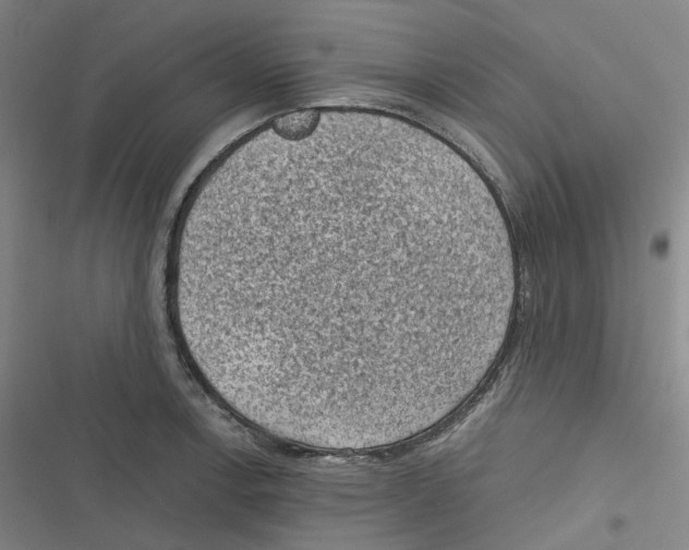 X0000116611138201001081205