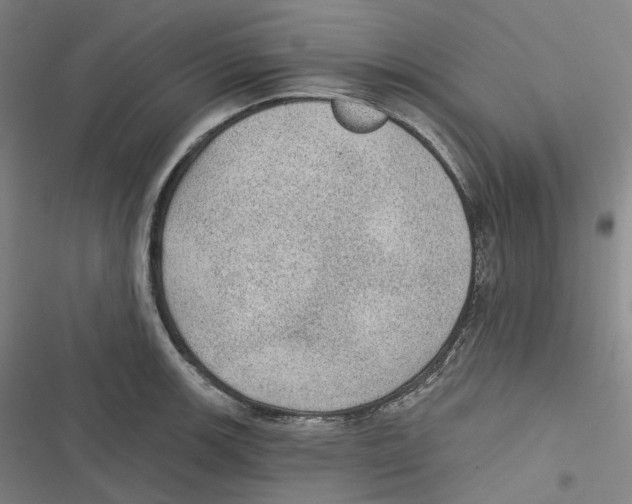 X0000116611139201001081205