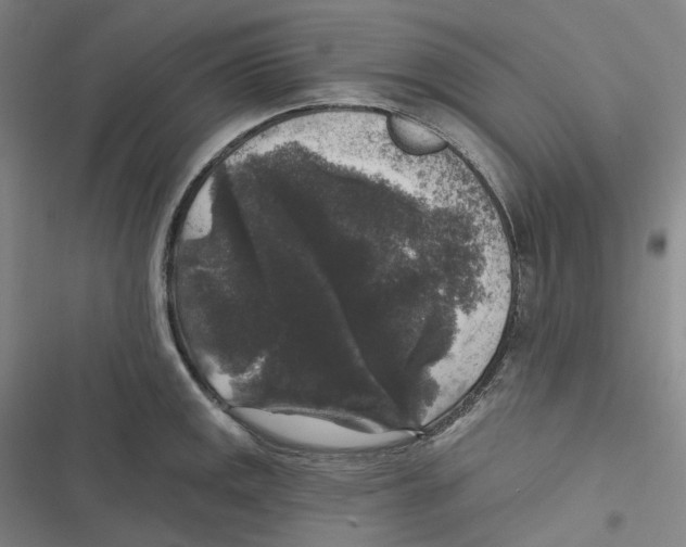 X0000116611141201001081205