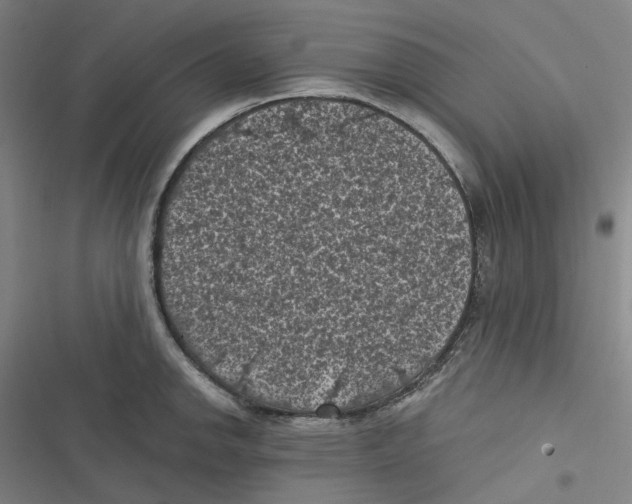 X0000116611142201001081205