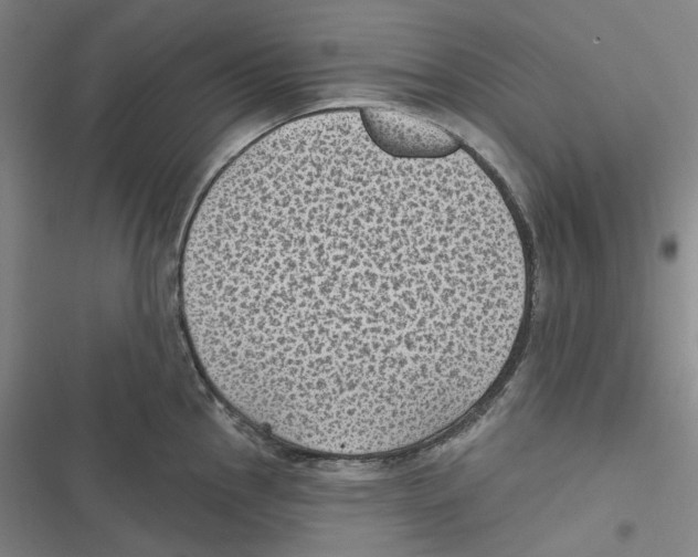 X0000116611145201001081205