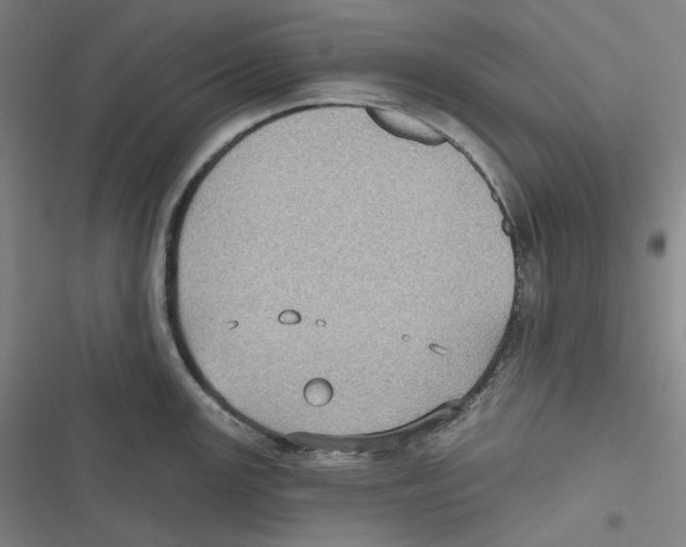 X0000116611147201001081205