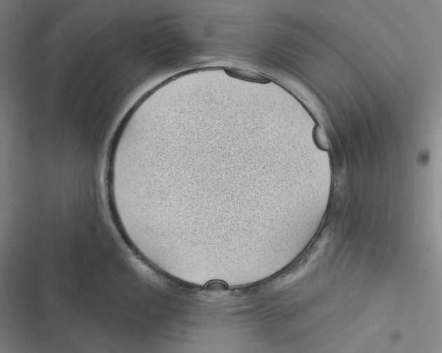 X0000116611149201001081205