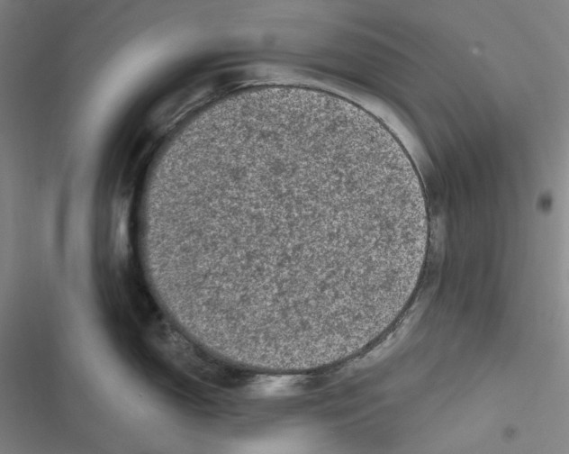 X0000116611150201001081205