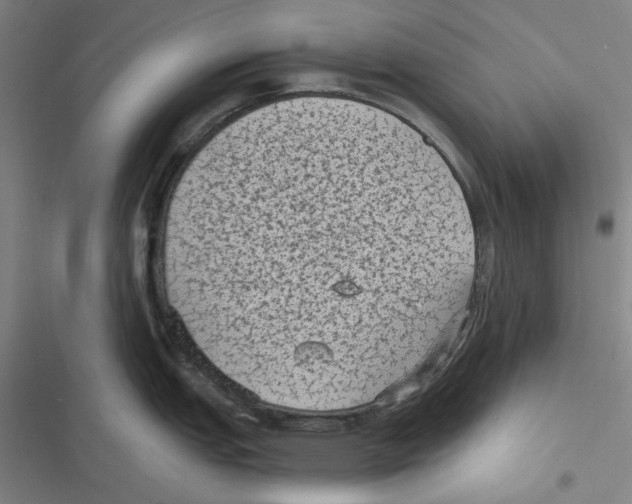 X0000116611151201001081205