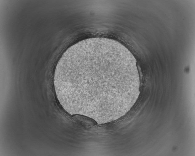 X0000116611153201001081205