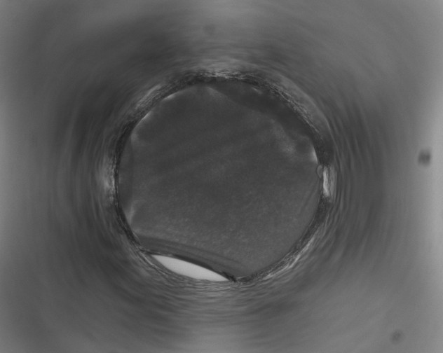 X0000116611155201001081205