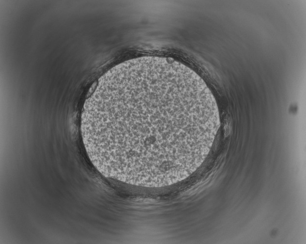 X0000116611156201001081205