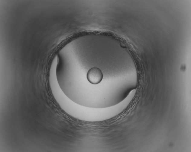 X0000116611157201001081205