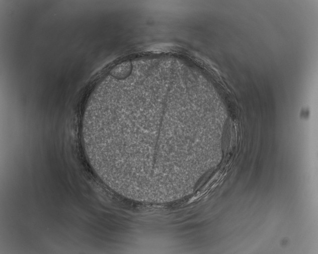 X0000116611158201001081205