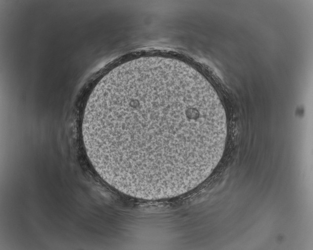 X0000116611159201001081205