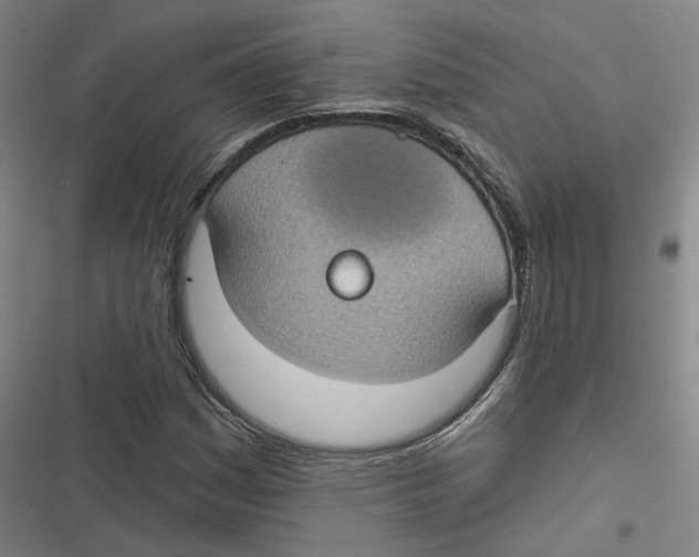 X0000116611161201001081205