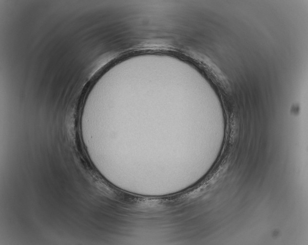 X0000116611162201001081205