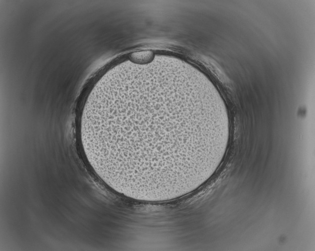 X0000116611164201001081205