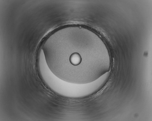 X0000116611165201001081204