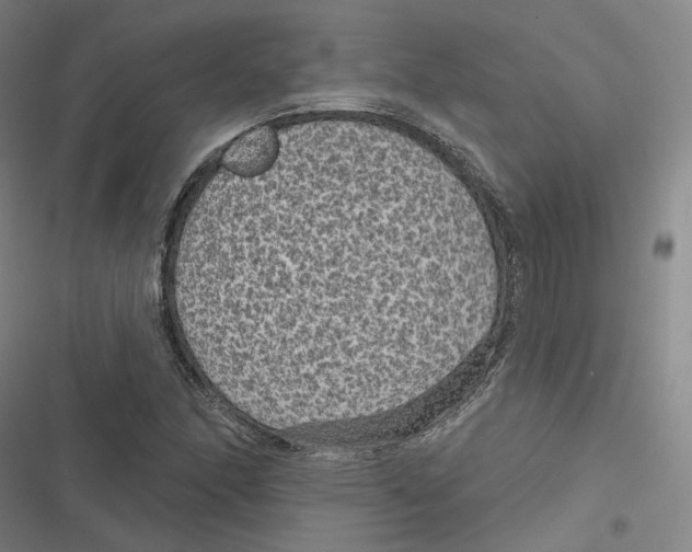 X0000116611166201001081204