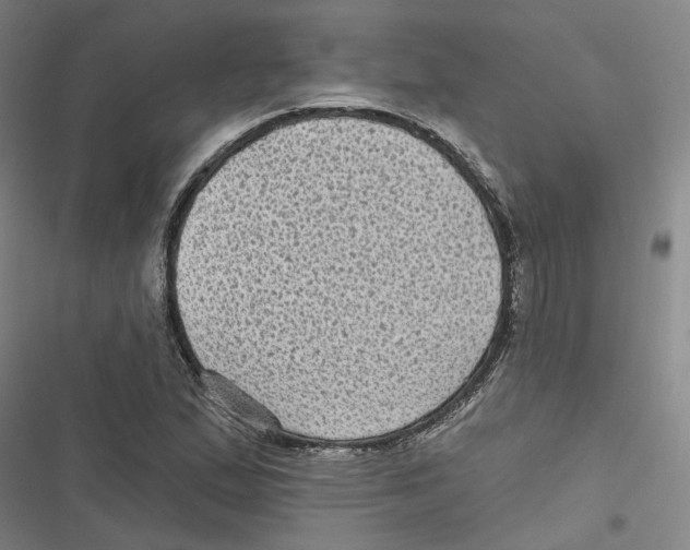 X0000116611167201001081204