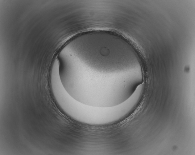 X0000116611169201001081204