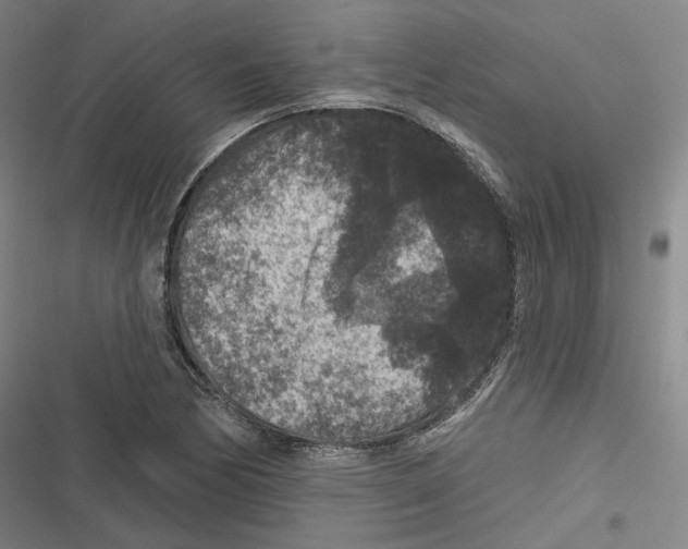 X0000116611170201001081204