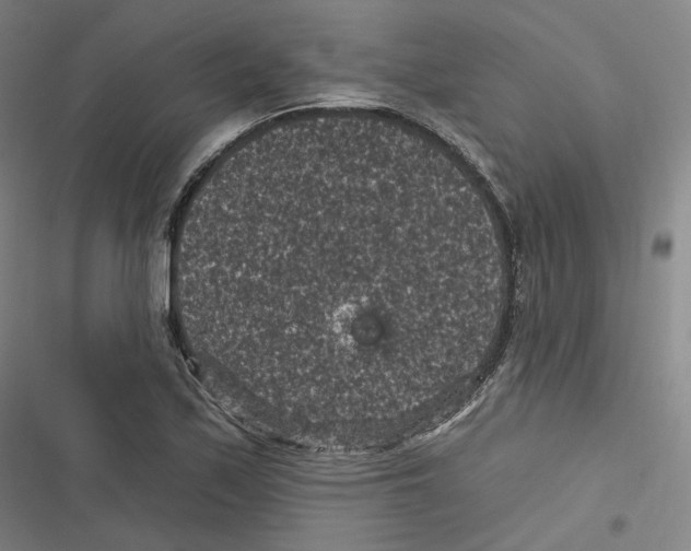 X0000116611171201001081204