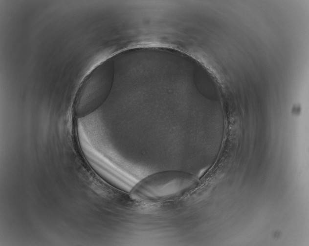 X0000116611173201001081204