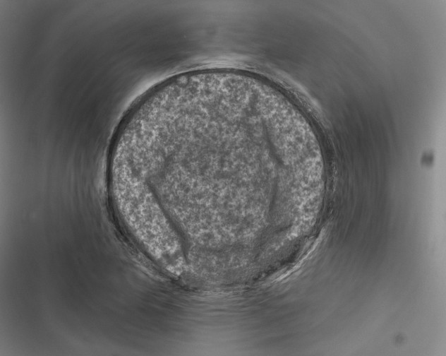 X0000116611174201001081204