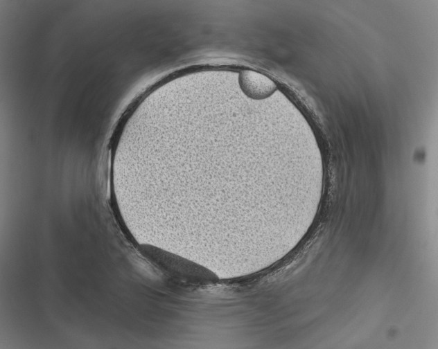 X0000116611175201001081204