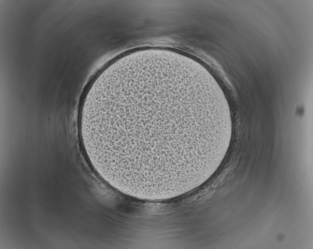 X0000116611176201001081204