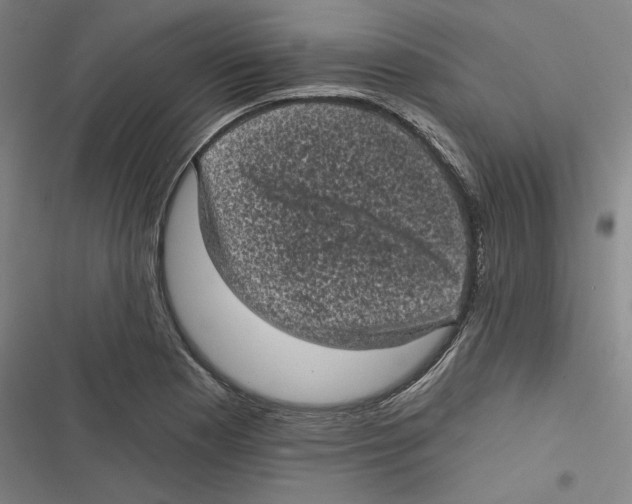 X0000116611177201001081204