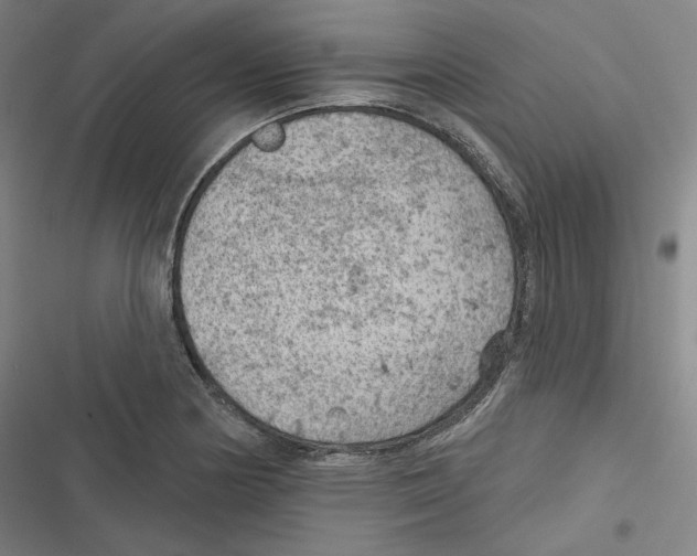 X0000116611178201001081204