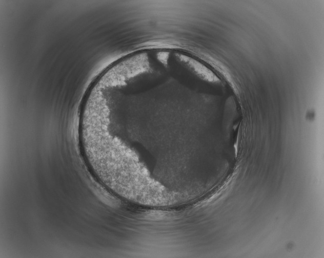 X0000116611179201001081204