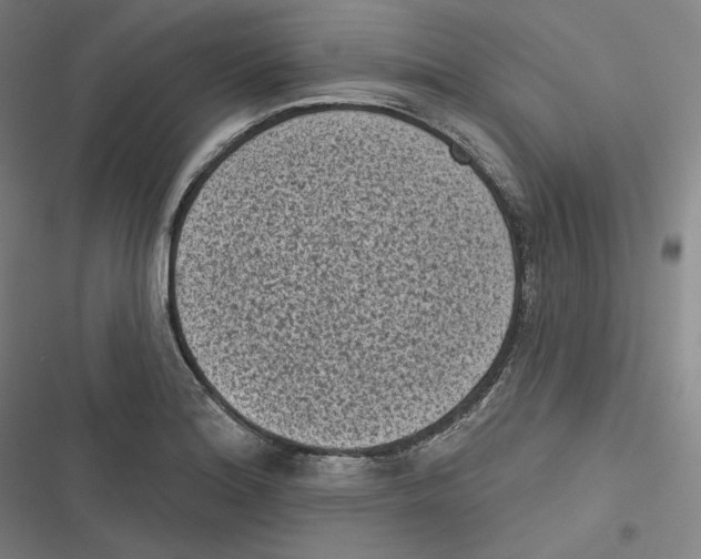 X0000116611180201001081204