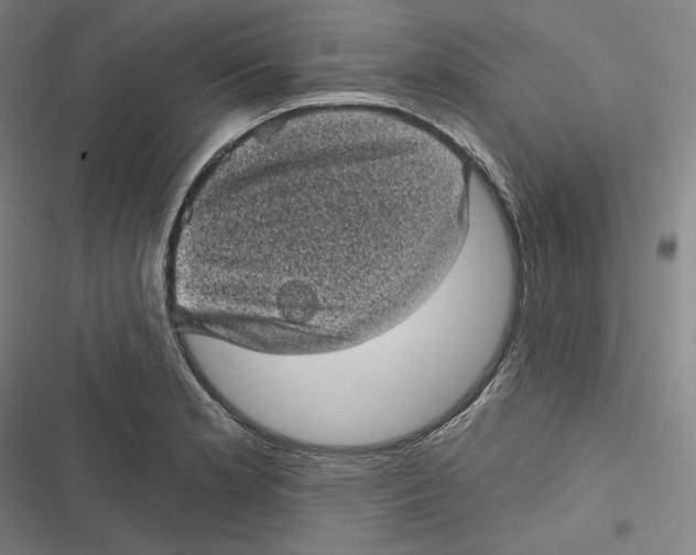 X0000116611181201001081204