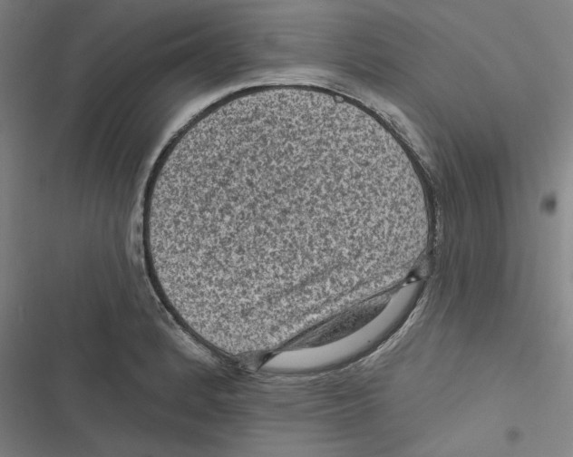 X0000116611184201001081204