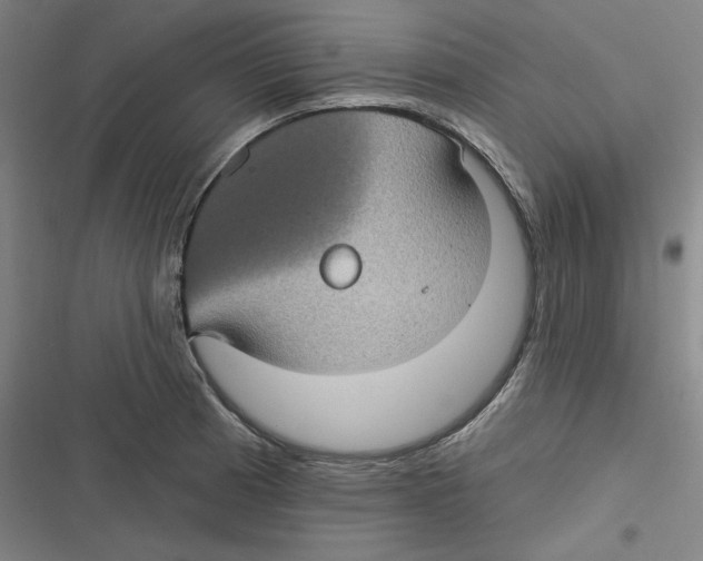 X0000116611185201001081204